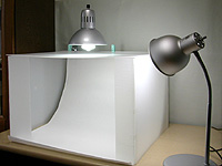 2light